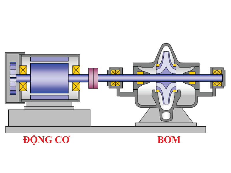 MCAS-P: Giải pháp đánh giá tình trạng Bơm